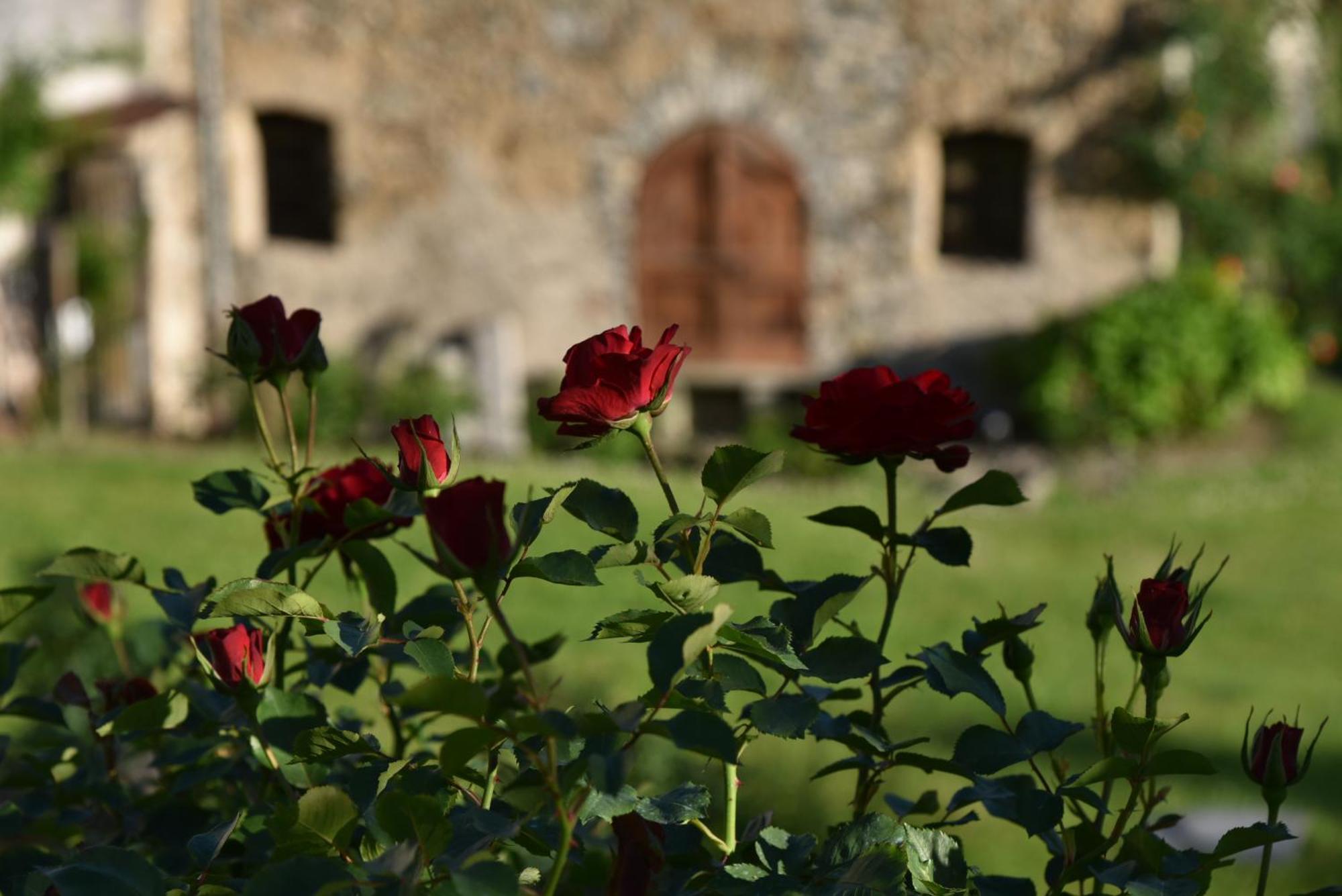 Piano Nobile Al Roseto Del Drago Villa San Bernardo  Luaran gambar